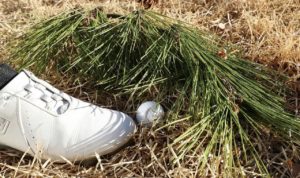 ゴルフボールを間違えて蹴ったら何打罰？新ルールで球が動いた時の処置！